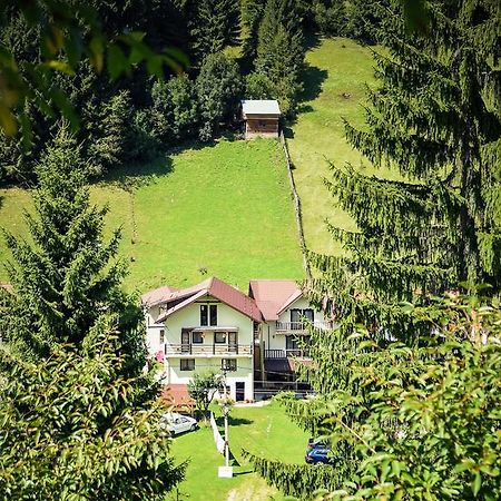 Pensiunea Puiu Moeciu De Sus Luaran gambar