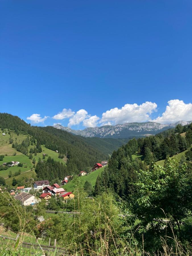 Pensiunea Puiu Moeciu De Sus Luaran gambar