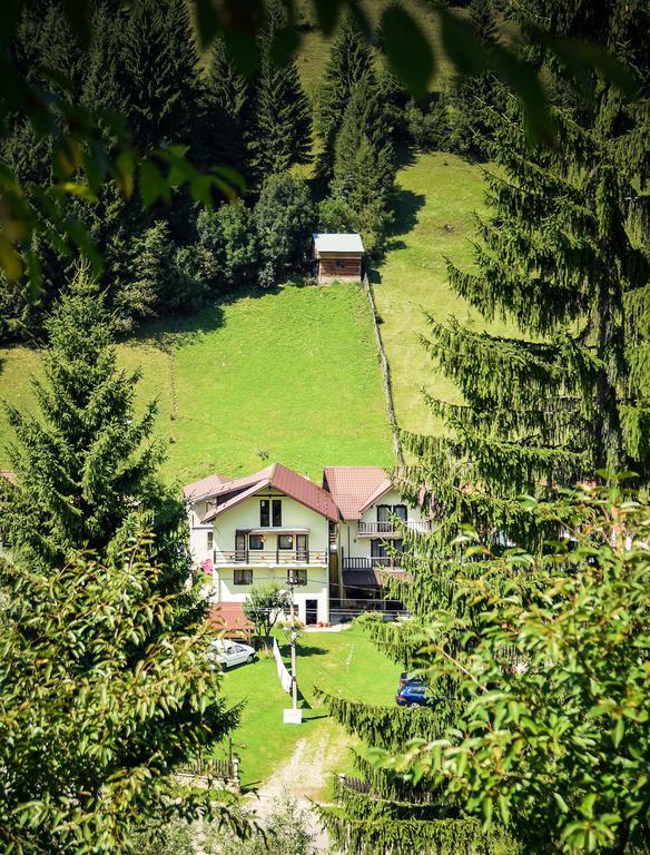 Pensiunea Puiu Moeciu De Sus Luaran gambar